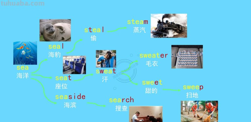 我提炼小学思维导图800词66幅导图，3天刻入大脑，再笨都记得住