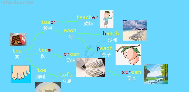 我提炼小学思维导图800词66幅导图，3天刻入大脑，再笨都记得住