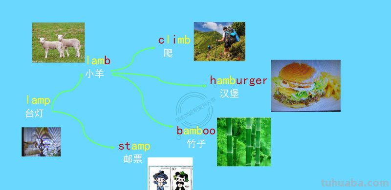 我提炼小学思维导图800词66幅导图，3天刻入大脑，再笨都记得住