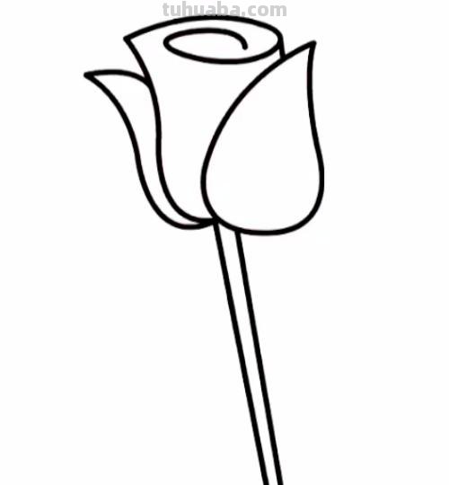 玫瑰花怎么画简笔画又漂亮（玫瑰花怎么画简笔画又漂亮用铅笔画）