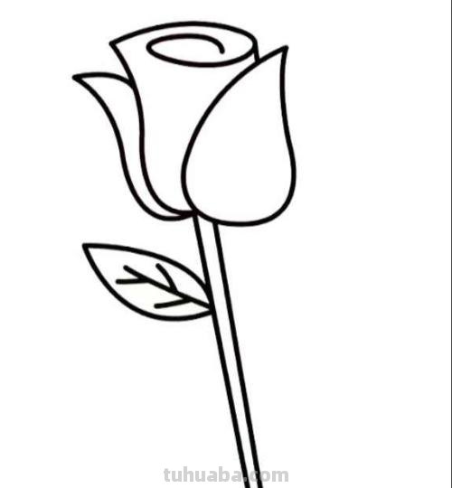 玫瑰花怎么画简笔画又漂亮（玫瑰花怎么画简笔画又漂亮用铅笔画）