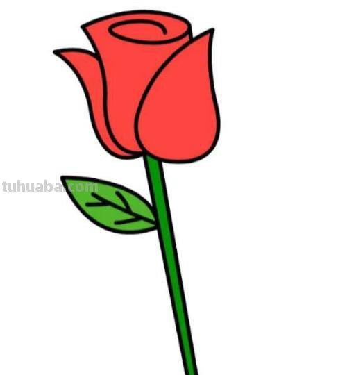 玫瑰花怎么画简笔画又漂亮（玫瑰花怎么画简笔画又漂亮用铅笔画）