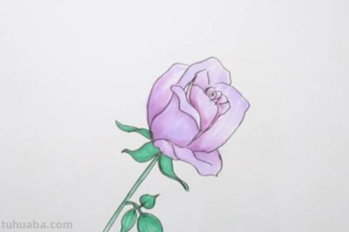 玫瑰花怎么画简笔画又漂亮（玫瑰花怎么画简笔画又漂亮用铅笔画）