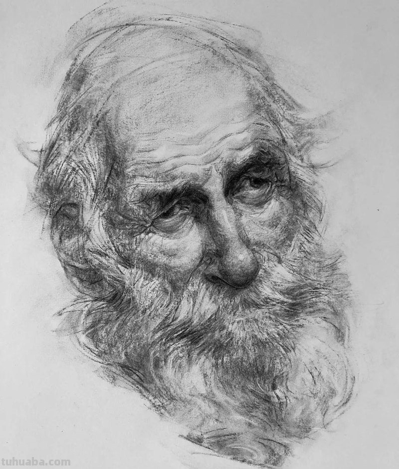 分享一位艺术教授的素描作品，值得借鉴