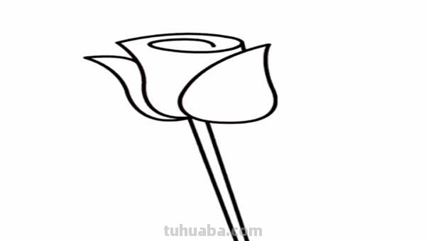 玫瑰花怎么画简笔画又漂亮（玫瑰花怎么画简笔画又漂亮用铅笔画）