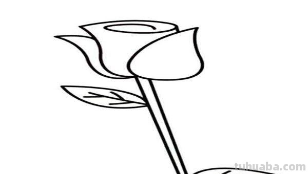 玫瑰花怎么画简笔画又漂亮（玫瑰花怎么画简笔画又漂亮用铅笔画）