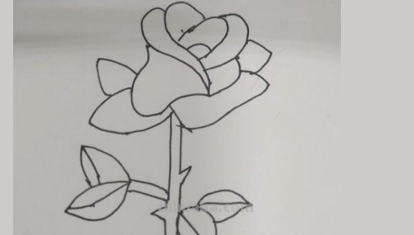 玫瑰花怎么画简笔画又漂亮（玫瑰花怎么画简笔画又漂亮用铅笔画）