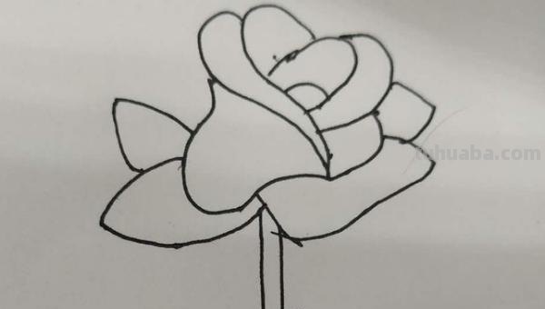 玫瑰花怎么画简笔画又漂亮（玫瑰花怎么画简笔画又漂亮用铅笔画）