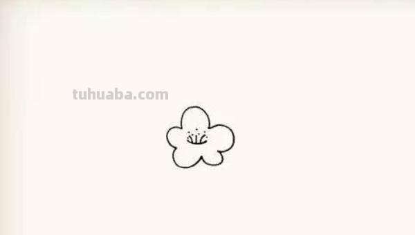 简笔画三角梅怎么画(简笔画三角梅怎么画好看) 简笔画三角梅怎么画(简笔画三角梅怎么画好看)