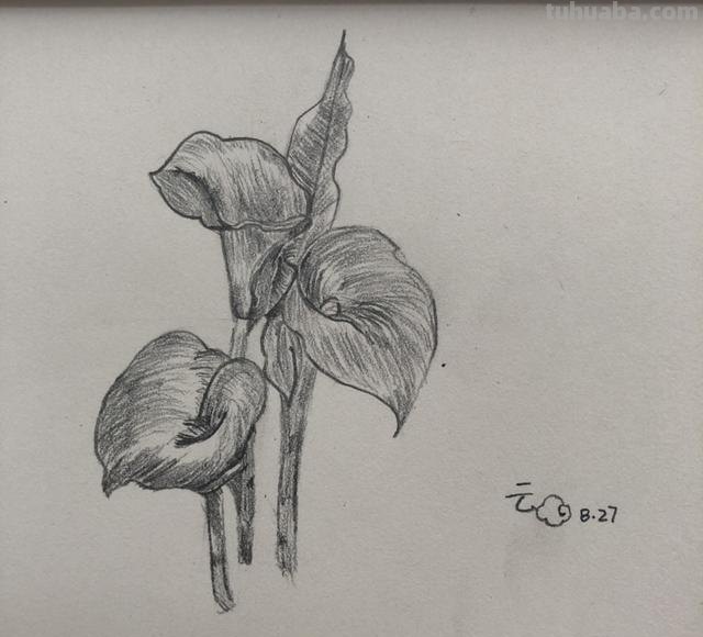 怎么画好简笔画（怎么画好简笔画人物）