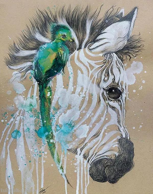 动物水彩插画—生动有趣，氛围感十足的水彩，搭配颜色也很精彩哦
