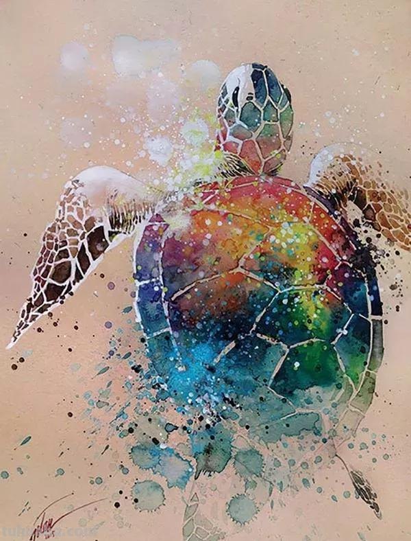 动物水彩插画—生动有趣，氛围感十足的水彩，搭配颜色也很精彩哦