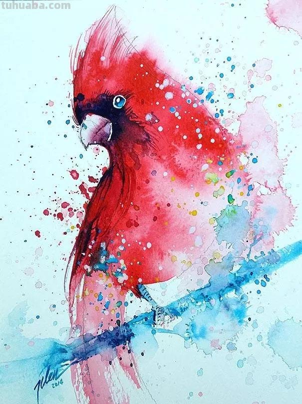 动物水彩插画—生动有趣，氛围感十足的水彩，搭配颜色也很精彩哦