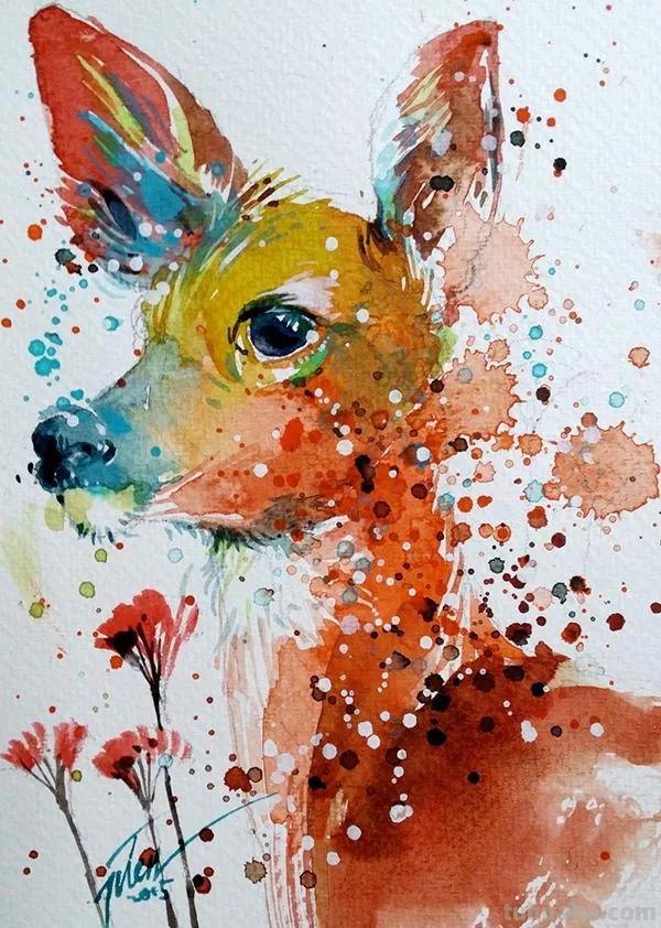 动物水彩插画—生动有趣，氛围感十足的水彩，搭配颜色也很精彩哦