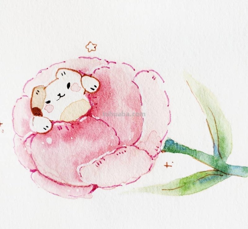 快来签收今日份的小可爱！清新简洁的水彩插画，萌萌哒小动物