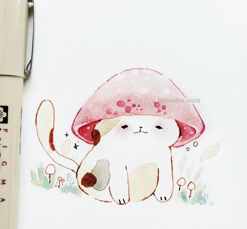 快来签收今日份的小可爱！清新简洁的水彩插画，萌萌哒小动物
