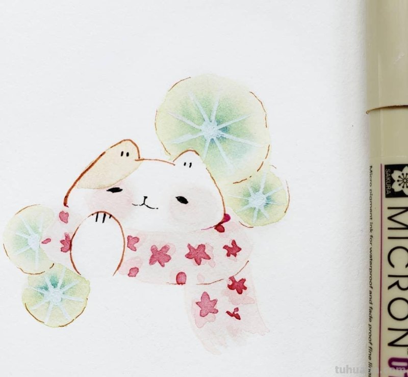 快来签收今日份的小可爱！清新简洁的水彩插画，萌萌哒小动物