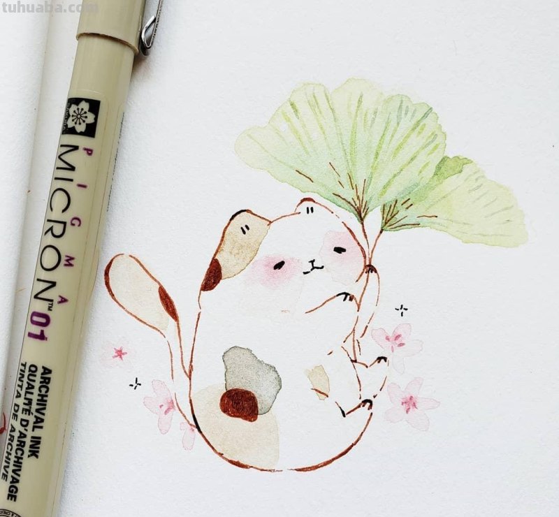 快来签收今日份的小可爱！清新简洁的水彩插画，萌萌哒小动物