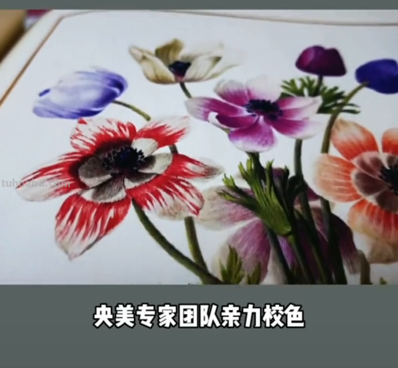 知道几百年前王子和公主的自然科学教科书是怎么样的吗？#...