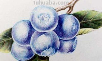 橙子怎么画 彩铅颜色(橙子怎么画 彩铅颜色好看) 橙子怎么画 彩铅颜色(橙子怎么画 彩铅颜色好看)
