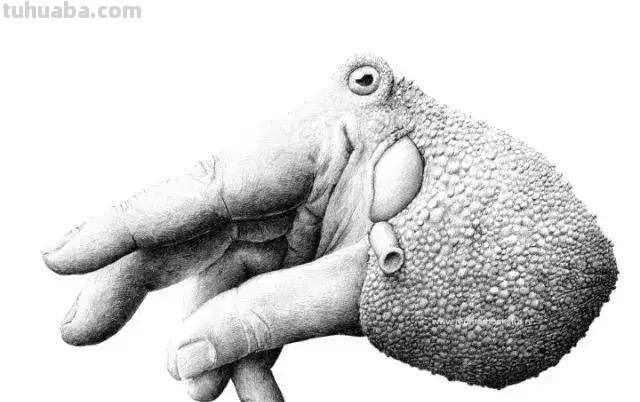 看似荒诞而又创意的素描插画，每一张都震撼你的心