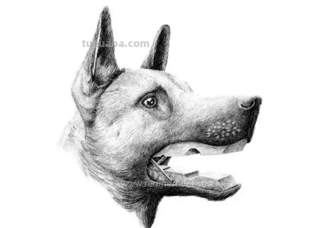 看似荒诞而又创意的素描插画，每一张都震撼你的心