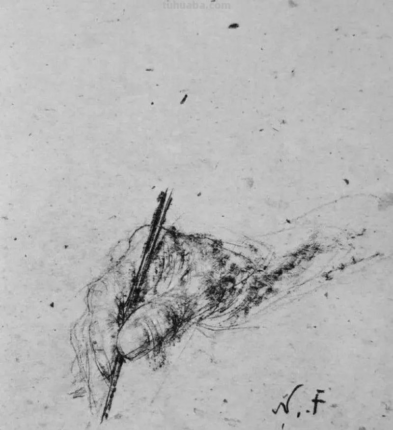 深刻的线条,费欣速写作品欣赏 深刻的线条,费欣速写作品欣赏