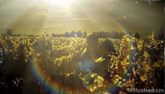 最新国外唯美婚纱摄影