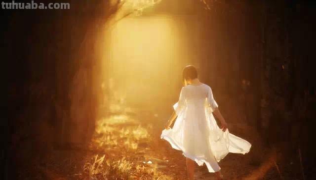 最新国外唯美婚纱摄影