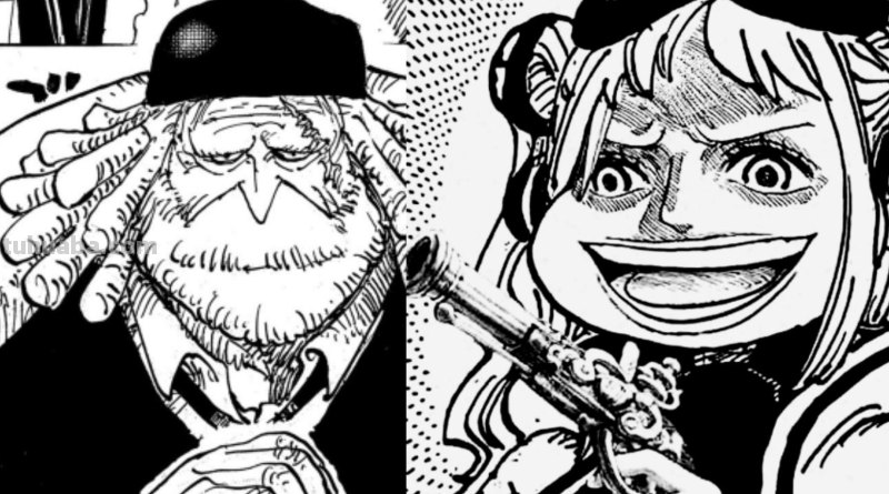 1078话完整版情报：蕾玖登场，约克给五老星泄密的信息公开，燃爆