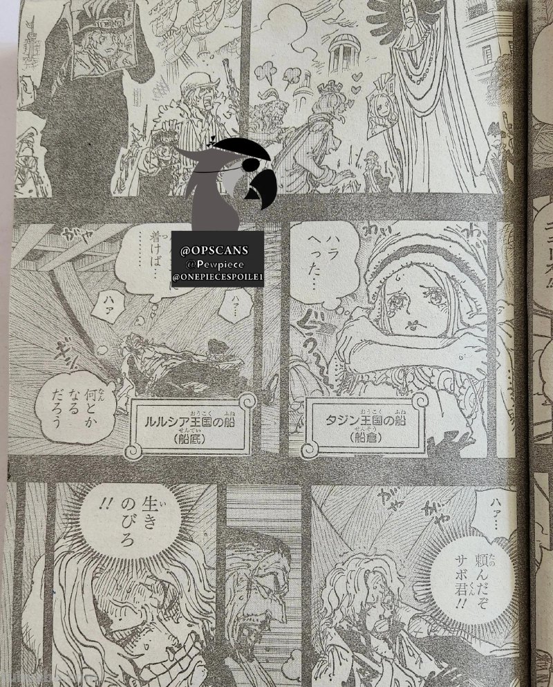 海贼王1086话情报：炽天使全部登场，老沙是女人，明哥很嚣张