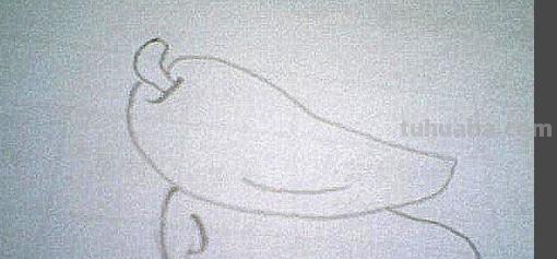 青椒怎么画简笔画(青椒怎么画简笔画图片) 青椒怎么画简笔画(青椒怎么画简笔画图片)