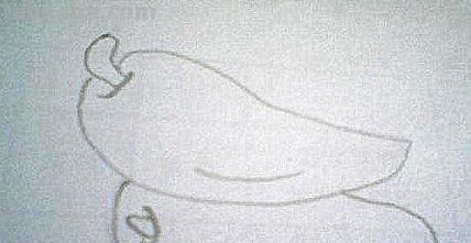 青椒怎么画简笔画(青椒怎么画简笔画图片) 青椒怎么画简笔画(青椒怎么画简笔画图片)