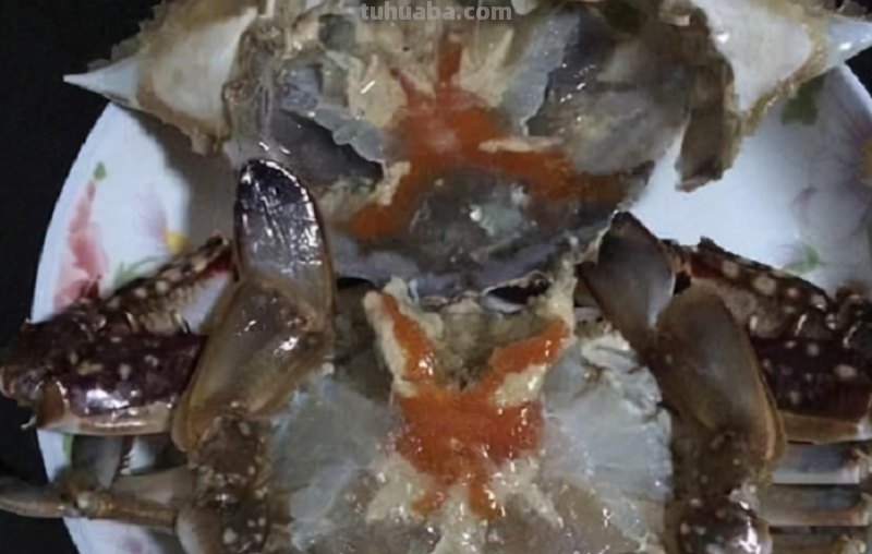 山东10大另类美食小吃，本地人视为美味，外地食客无从下嘴