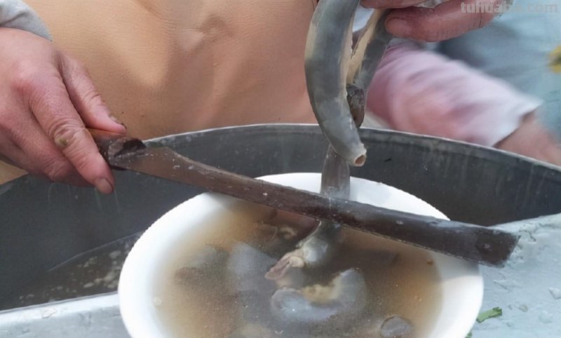 山东10大另类美食小吃，本地人视为美味，外地食客无从下嘴