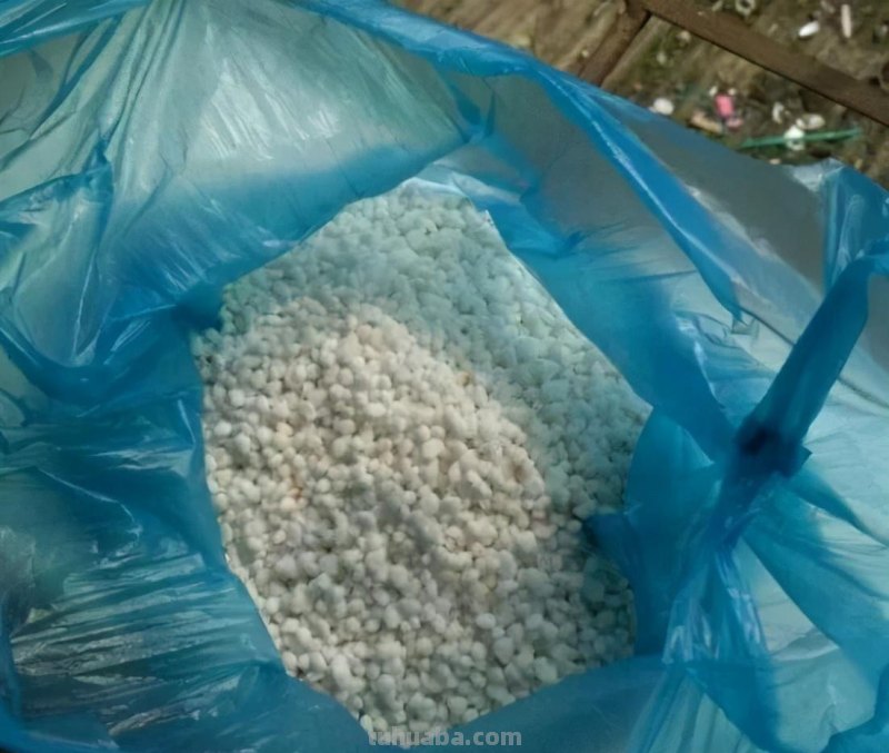 绿萝想要“泛滥成灾”，离不开5个养护方法，谁用谁知道