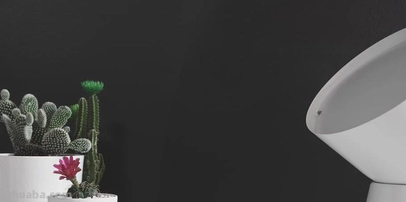 室内的仙人掌养了一年后,没有一点变化,想让它开花就是妄想 室内的仙人掌养了一年后,没有一点变化,想让它开花就是妄想