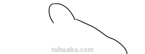 最详细的5个动画人物简笔画教程,1分钟速成,零基础也能学会! 最详细的5个动画人物简笔画教程,1分钟速成,零基础也能学会!