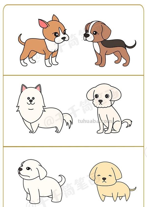  狗狗简笔画+合集，柯基，二哈，斗牛，秋田，泰迪，超详细