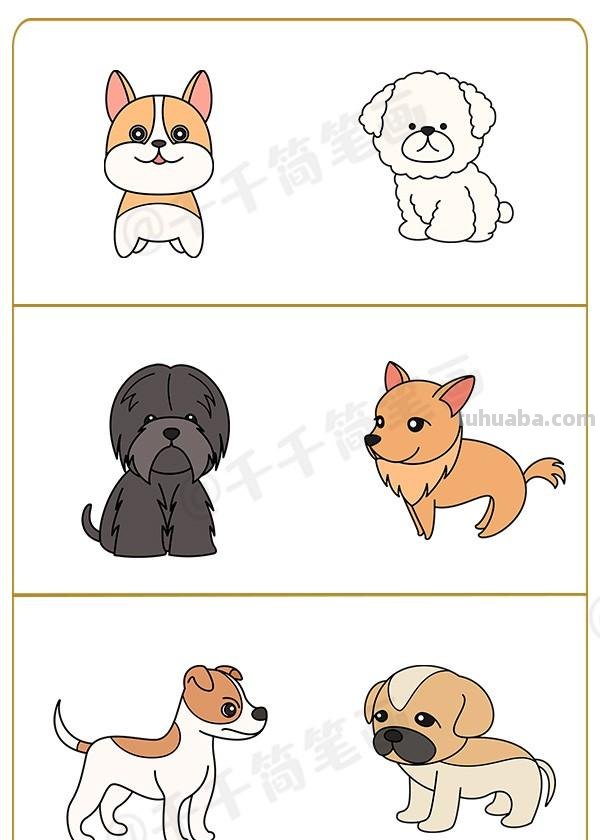  狗狗简笔画+合集，柯基，二哈，斗牛，秋田，泰迪，超详细