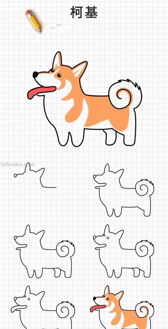 爱狗的你这20种可爱简笔画素材一定要收藏，柯基等狗狗简笔画都有