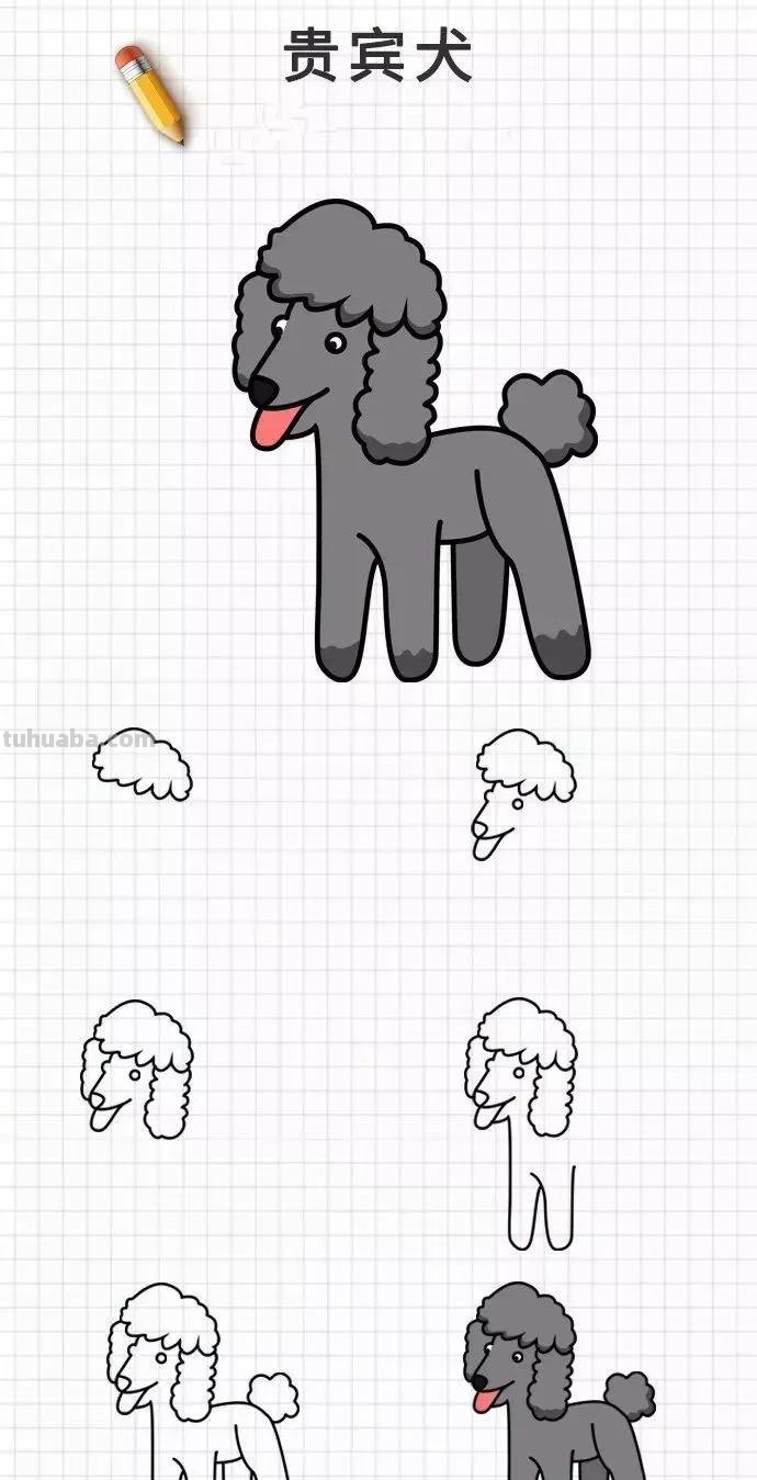 爱狗的你这20种可爱简笔画素材一定要收藏，柯基等狗狗简笔画都有