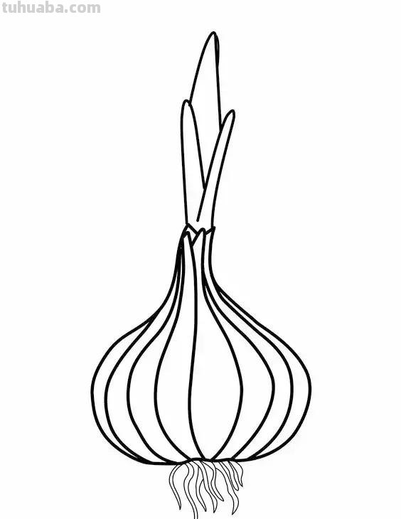 简笔画｜萌萌哒蔬菜水果简笔画，寒假教孩子画，建议先收藏！