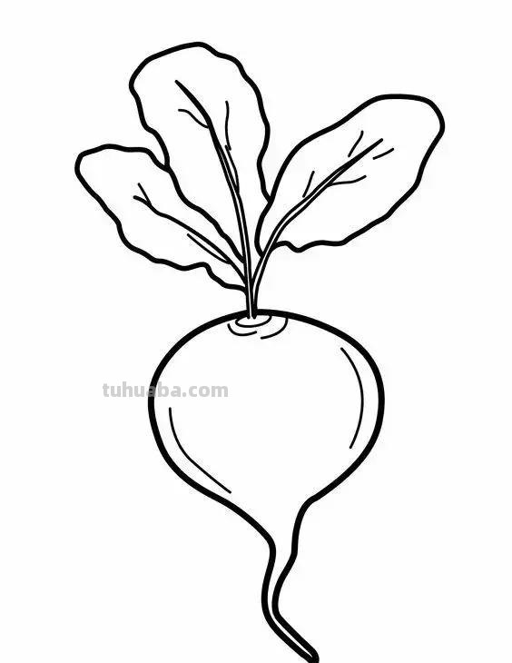 简笔画｜萌萌哒蔬菜水果简笔画，寒假教孩子画，建议先收藏！