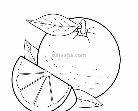 简笔画｜萌萌哒蔬菜水果简笔画，寒假教孩子画，建议先收藏！