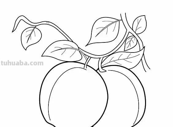 简笔画｜萌萌哒蔬菜水果简笔画，寒假教孩子画，建议先收藏！