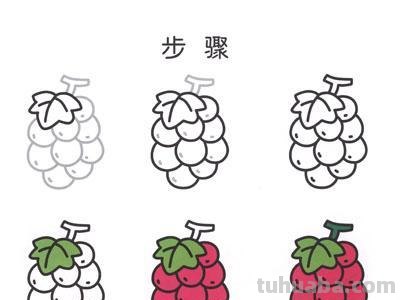 常见水果简笔画，让小画家自己来画画水果吧~