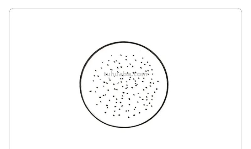 超漂亮~圆形画各种水果简笔画，你喜欢哪种呢？「图文+视频」