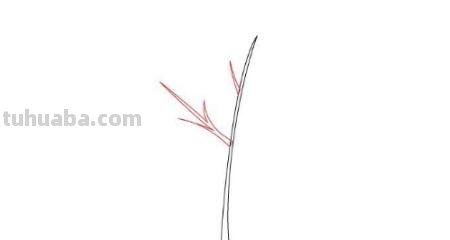 枫叶怎么用彩铅画(枫叶怎么用彩铅画出来) 枫叶怎么用彩铅画(枫叶怎么用彩铅画出来)