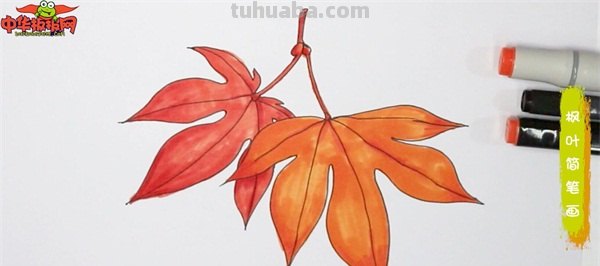 枫叶怎么用彩铅画(枫叶怎么用彩铅画出来) 枫叶怎么用彩铅画(枫叶怎么用彩铅画出来)